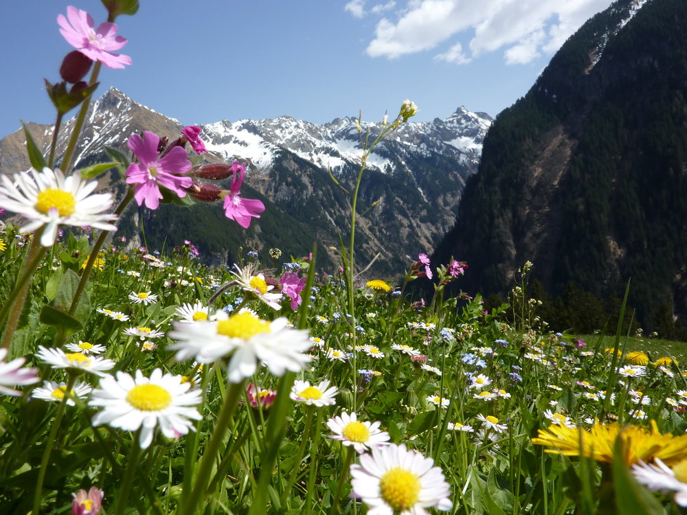 Spring