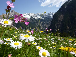Spring
