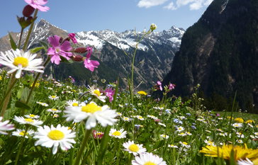 Spring