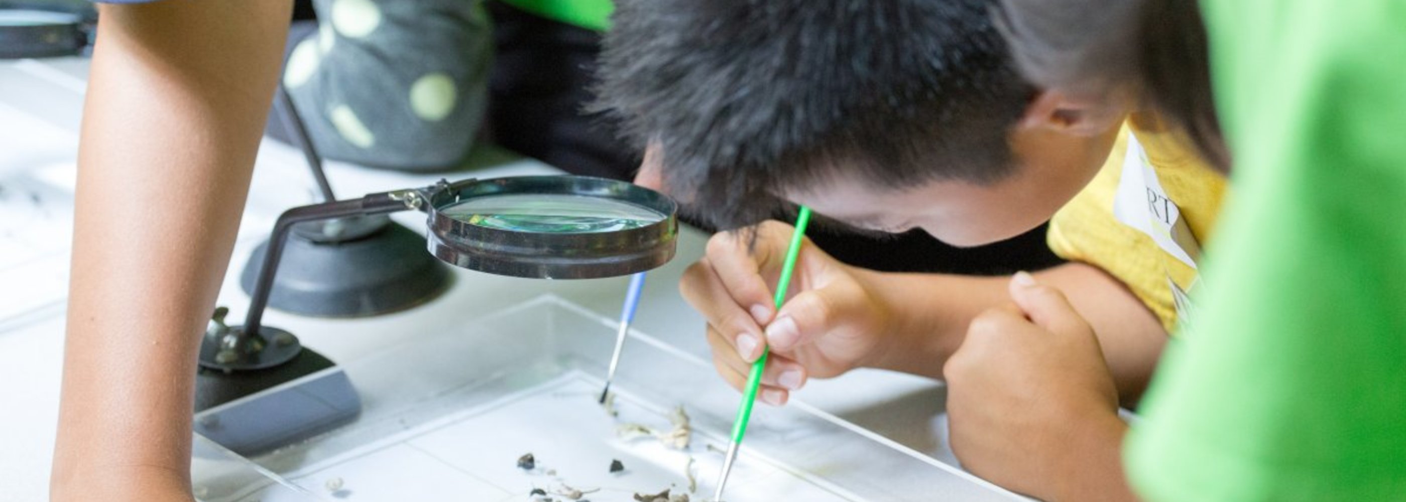 Student Science