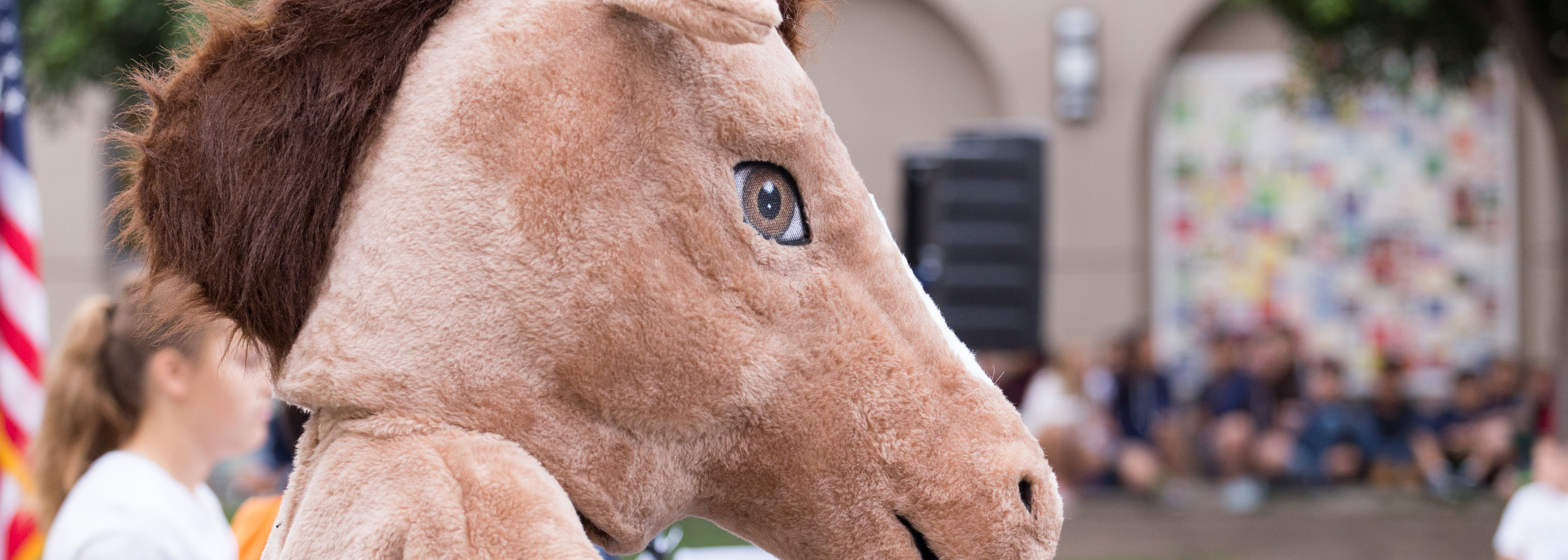 Mighty Mascot