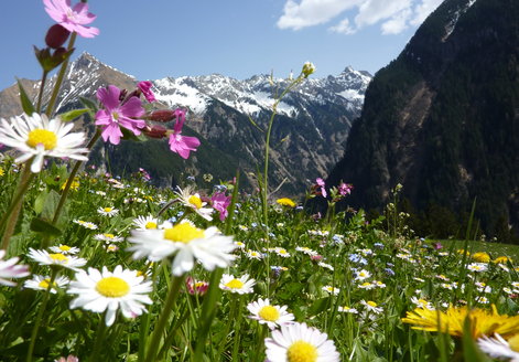Spring